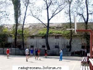 s`a intamplat ieri la greceanu , unu a cazut de pe lesin de pt amuzament va dau    citit acolo la un